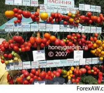 Формирование товарного ассортимента