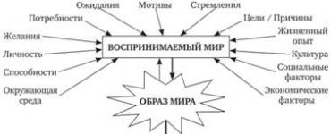 Внутренняя и внешняя среда организации (среда менеджмента) Восприятие компании